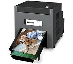 Принтер Shinko CHC-S9045 с лотком для готовых отпечатков